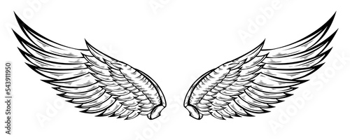 Tribal angel wings tattoo illustration