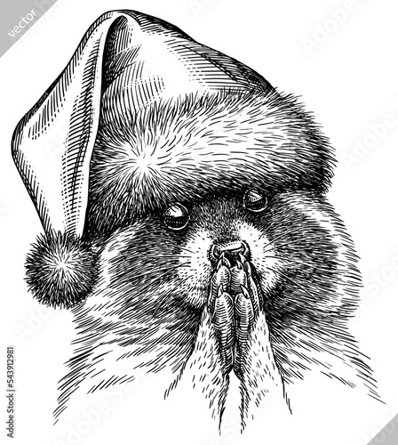 Vintage vector engrave isolated dressed christmas raccoon set illustration santa costume cut ink sketch. Wild pet background line new year hat racoon art