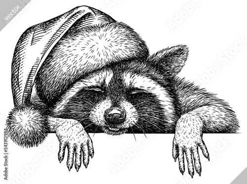 Vintage vector engrave isolated dressed christmas raccoon set illustration santa costume cut ink sketch. Wild pet background line new year hat racoon art
