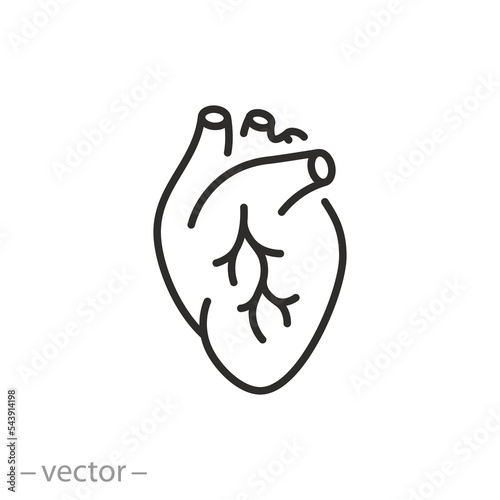 human heart icon, cardiac muscle, anatomy organ, thin line web symbol - editable stroke vector illustration