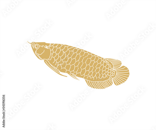 gold colored swimming Asian arowana fish illustration