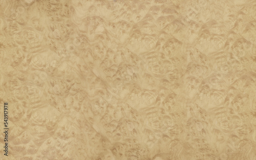 Natural burl wood texture high resolution