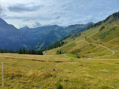 Bergpfad über Wiese