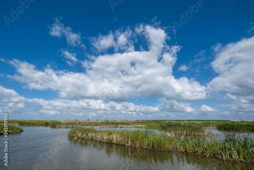 Marker Wadden photo