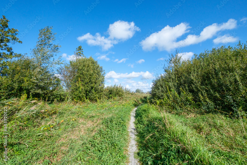 Vlonderpad The Weerribben-Wieden National Park