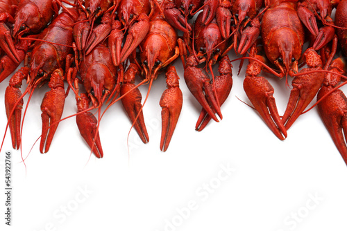 Delicious red boiled crayfish on white background