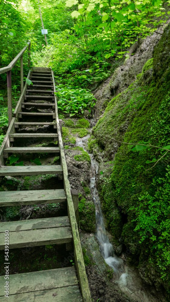 Fototapeta premium Wooden staircase in the forest in the mountains next to the waterfalls in the location of the Berendeyevo kingdom