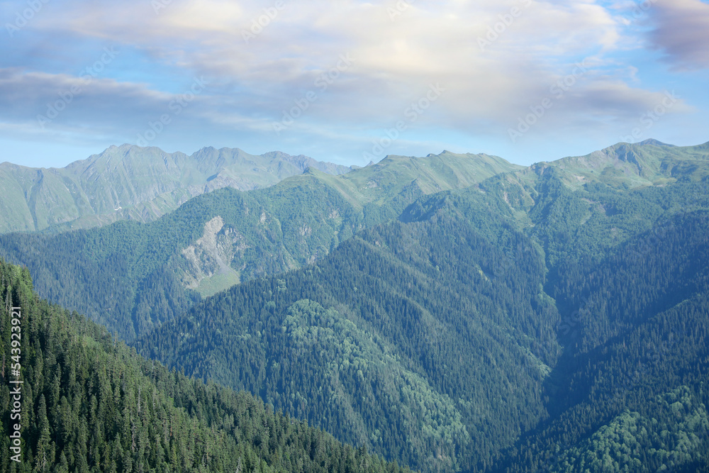 Aerial view of beautiful landscape with mountain forest on sunny day