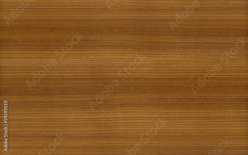 Oiled teak wood texture seamless