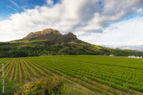 Stellenbosch, Western Cape, South Africa