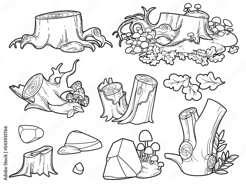 moss coloring page