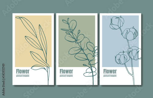 Sprig set postcard flowers design. Cotton branch with eucalyptus leaves © DOROTHEA