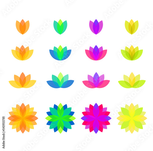 Beautiful lotus flower symbol. Different stages. 