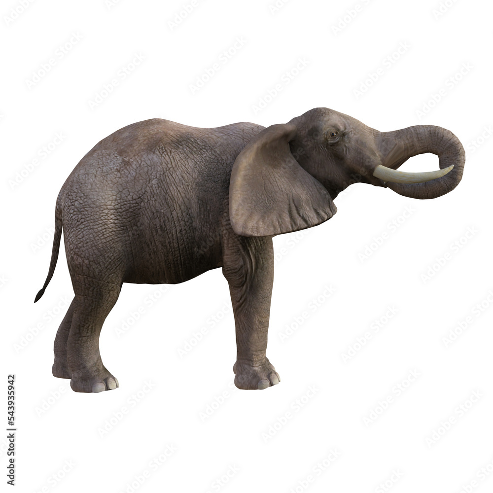 Illustration of an elephant in different poses and angles for collage or clip art. Pose number 1 isolated on white background. 3D rendering illustration. Illustration of an elephant in different poses and angles for collage or clip art. Pose number 1 isolated on white background. 3D rendering illustration.