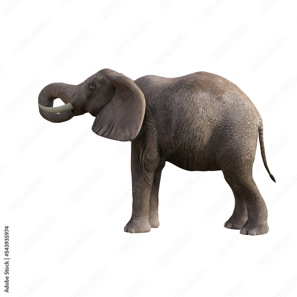 Obraz premium Illustration of an elephant in different poses and angles for collage or clip art. Pose number 1 isolated on white background. 3D rendering illustration.