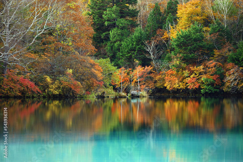 The scenery of beautiful autumn leaves in Japan The scenery of Nikko Yunoko like a painting photo