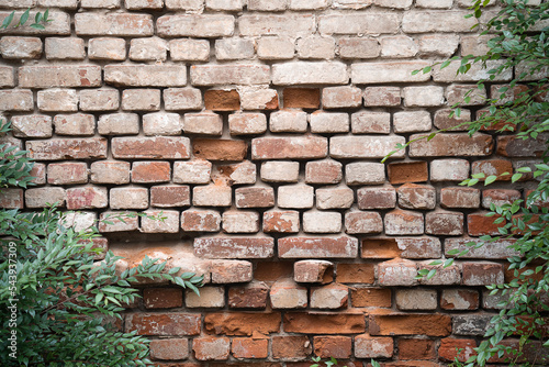 textured wall of painted red brick with green twigs on the edge