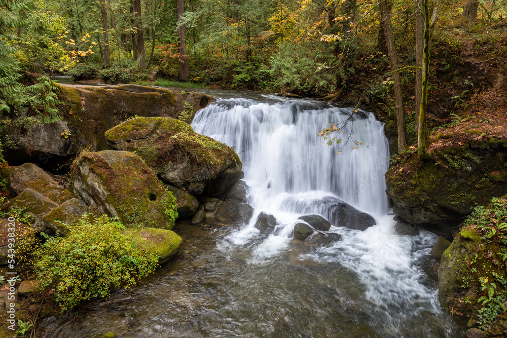 Whatcom Falls Autumn