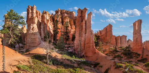 The Queens Garden in the Bryce Canyon National Park 