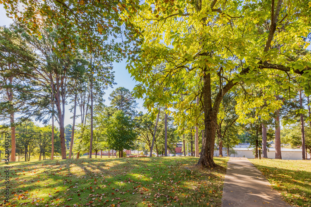 Sunny exterior view of the campus of University of the Ozarks