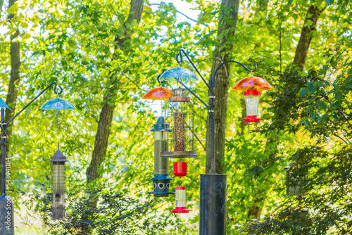 Close up shot of many bird feeder hanging in the Botanical Garden of the Ozarks