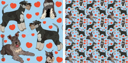 Pattern design with several Miniature Schnauzer dogs, funny doodles, and seamless pattern. T-shirt textile, wallpaper, wrapping paper, background graphic design with hearts on a blue background.
