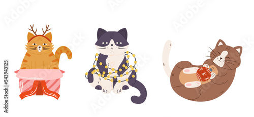 Cute Christmas Cats, Funny Pets Characters Sit in Gift Box, Wrap in Garland, Play with Bauble, Naughty Xmas Kittens