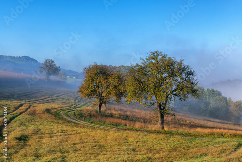 Herbstlandschaft mit Nebel