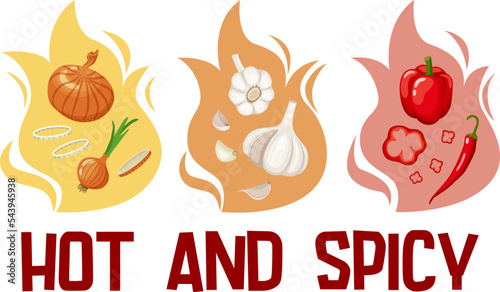 Vector illustration of a set of spicy vegetables on a background of flames and the text "hot and spisy". Sets of garlic, onion and pepper on a white background in flat style.