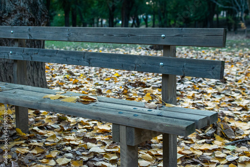 Banco en el parque en otoño con hojas amarillas sobre él