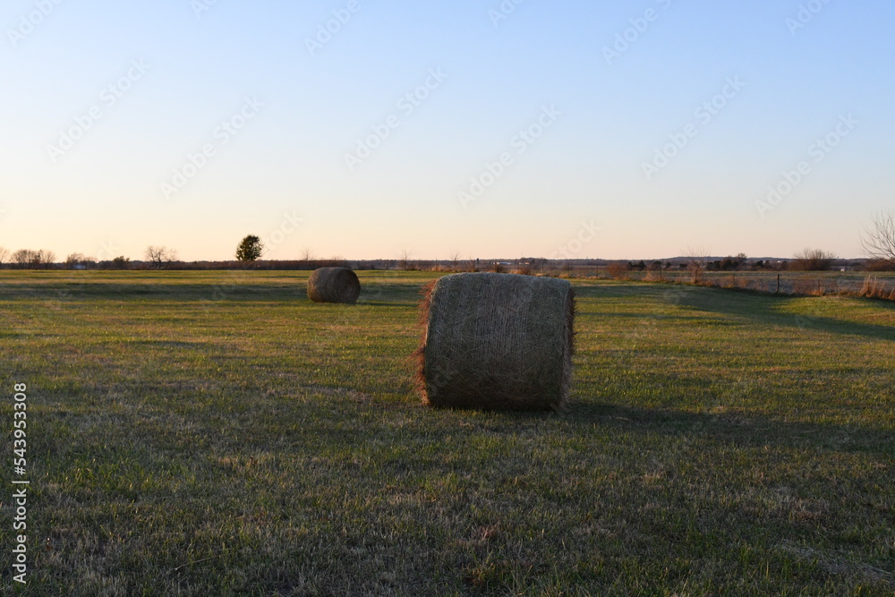 Hay Bales in a Farm Field