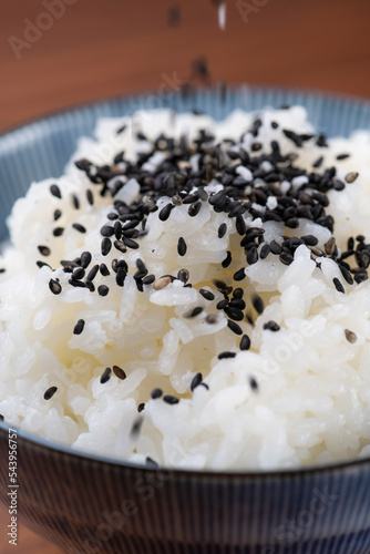 白ご飯にごま塩をかけて食べる photo