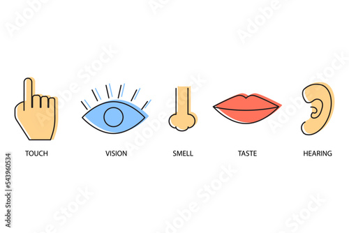 Cartoon sense organs for medical design. Medical illustration set. Vector illustration. Stock image. 