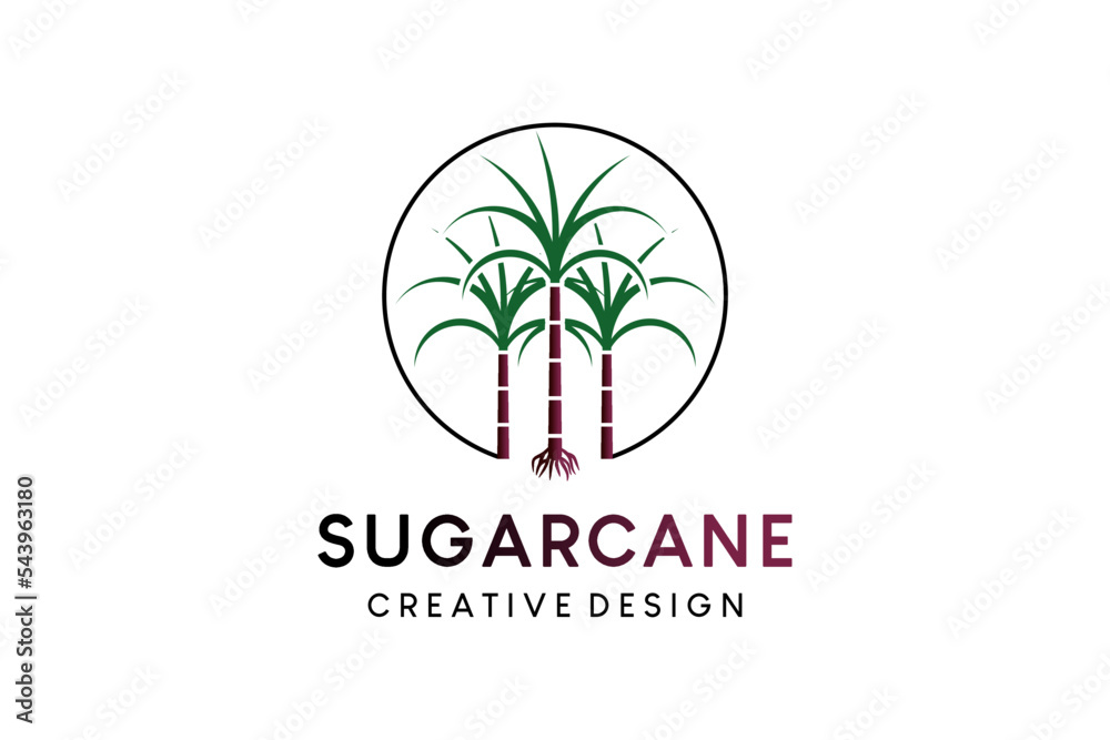 Sugarcane tree vector illustration logo design