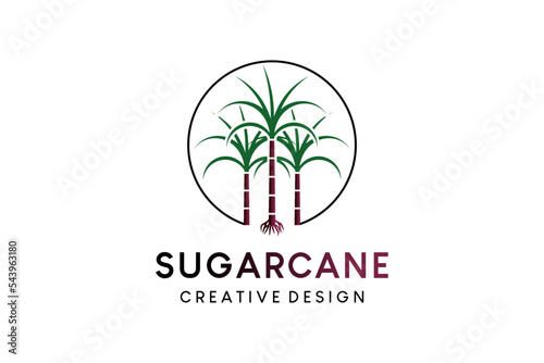 Sugarcane tree vector illustration logo design