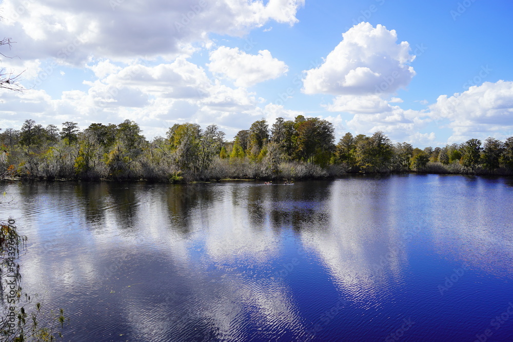 custom made wallpaper toronto digitalLandscape of Hillsborough river at Lettuce lake park in autumn
