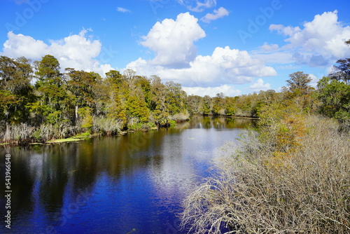 Landscape of Hillsborough river at Lettuce lake park in autumn © Feng