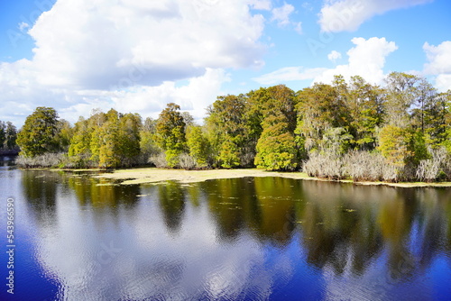 Landscape of Hillsborough river at Lettuce lake park in autumn