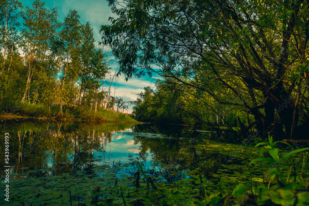 Autumn natural landscape near the forest river