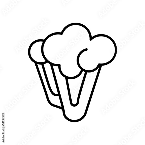 cauliflower line icon