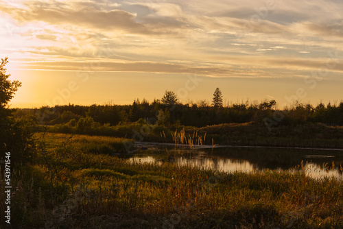 Summer Evening at Pylypow Wetlands