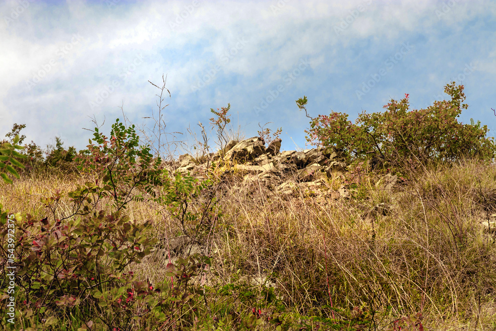 A rocky dry yellow cliff, descending down, against the background of a blue cloudy sky. Autumn bushes and trees on the mountainside against the sky. Rocky mountain slope with dry vegetation on a sunny A rocky dry yellow cliff, descending down, against the background of a blue cloudy sky. Autumn bushes and trees on the mountainside against the sky. Rocky mountain slope with dry vegetation on a sunny