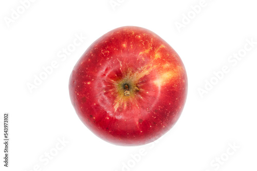A png of atop down view of a fresh, organic red apple