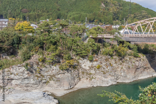 中岩の松と吉野川