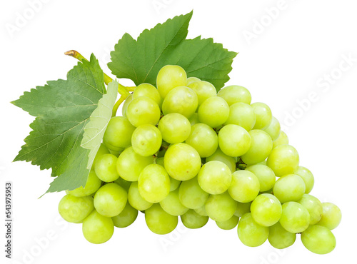 Fotografia Bunch of Green Grape with leaves isolated on white background, Sweet Green  Grape on a branch on white PNG File