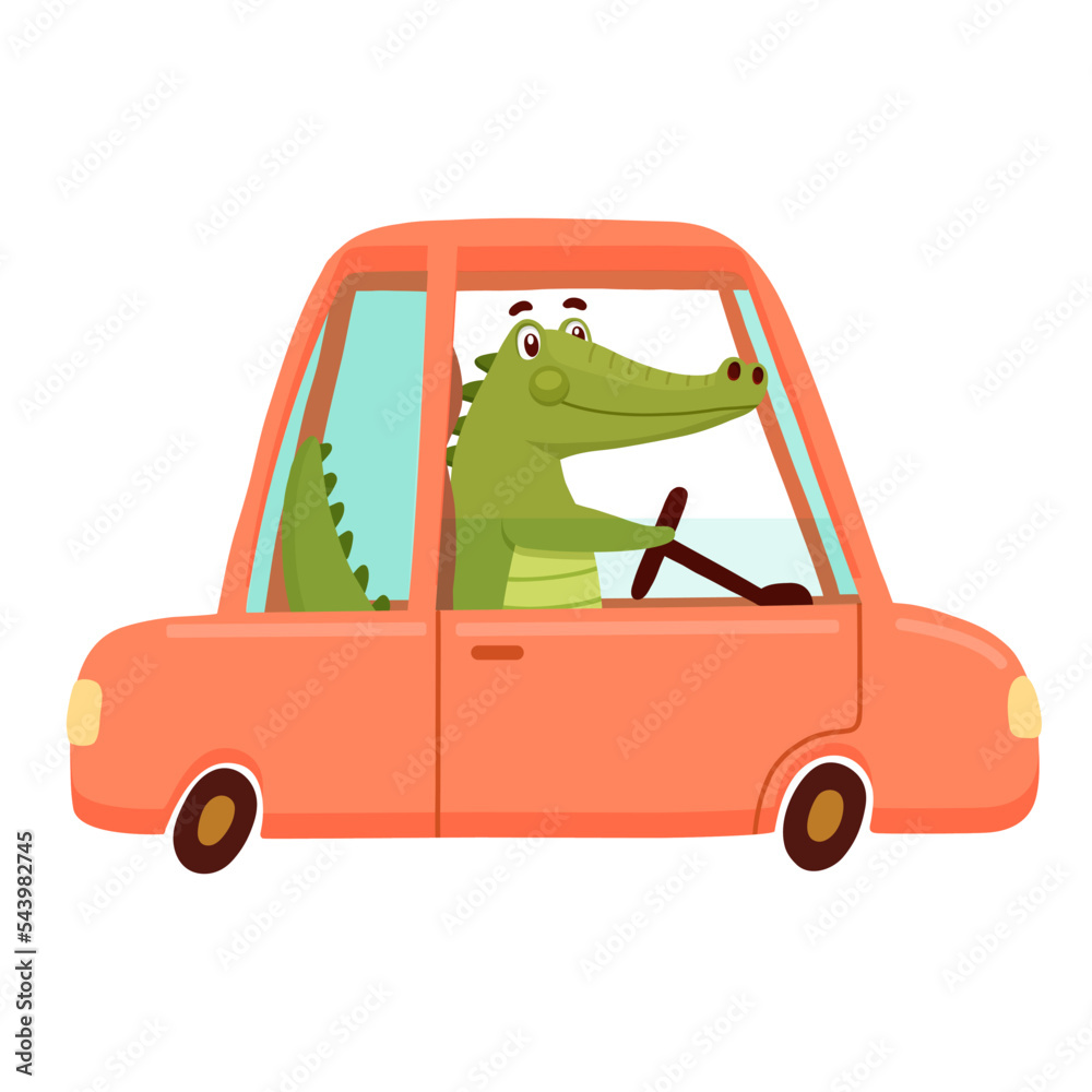 Cute Crocodile driving in red car. Funny Alligator isolated on white