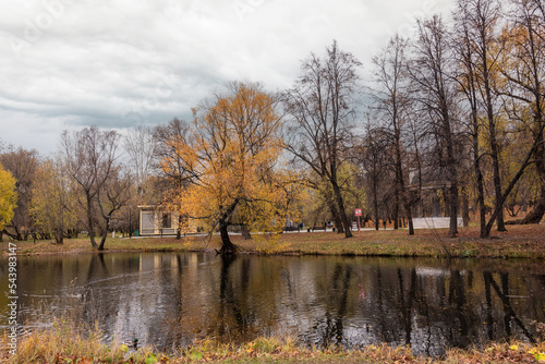 Autumn landscape with pond and trees in the city park.