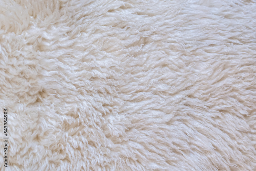 Close up white fur texture or carpet for background Close up white fur texture or carpet for background
