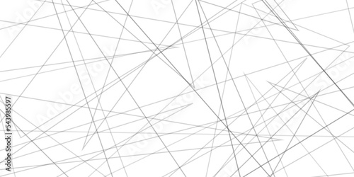 Abstract lines in black and white tone of many squares and rectangle shapes on white background. Metal grid isolated on the white background. nervures de feuilles mortes, fond rectangle and geometric