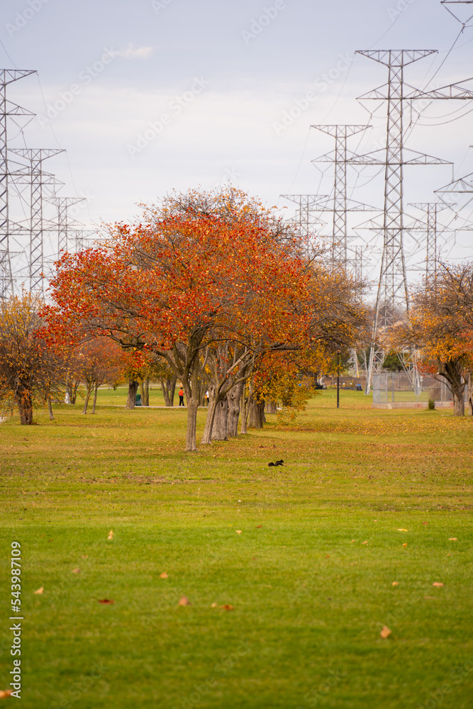 Autumn landscape with trees and transmission lines